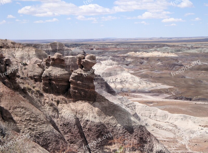 Petrified Forest National Park Petrified Fossils National Park America