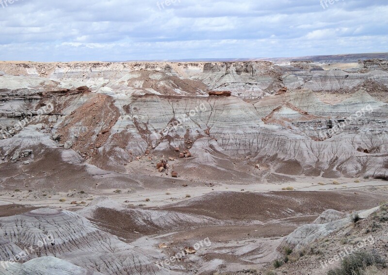 Petrified Forest National Park Petrified Fossils National Park America