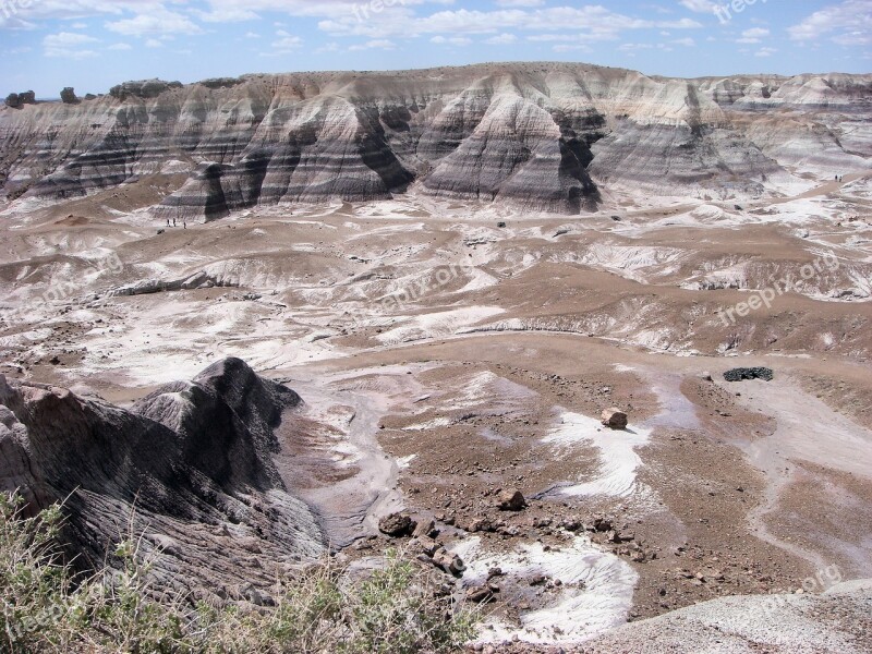 Petrified Forest National Park Petrified Fossils National Park America