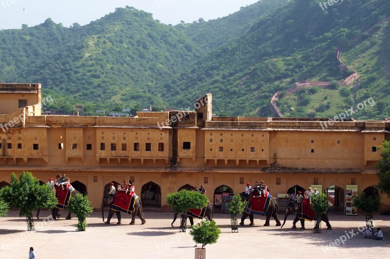 Jaipur Fort Elephants Architecture Rajasthan Amber