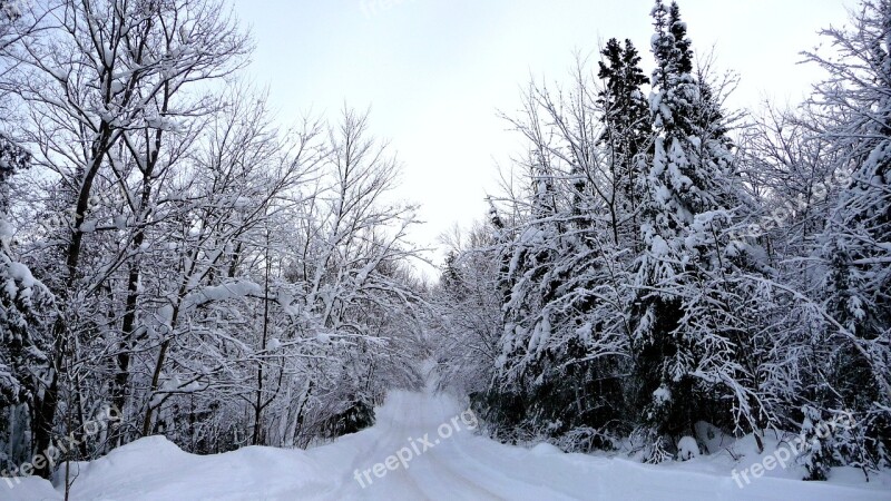 Winter Snow Winter Landscape Trees Hiking