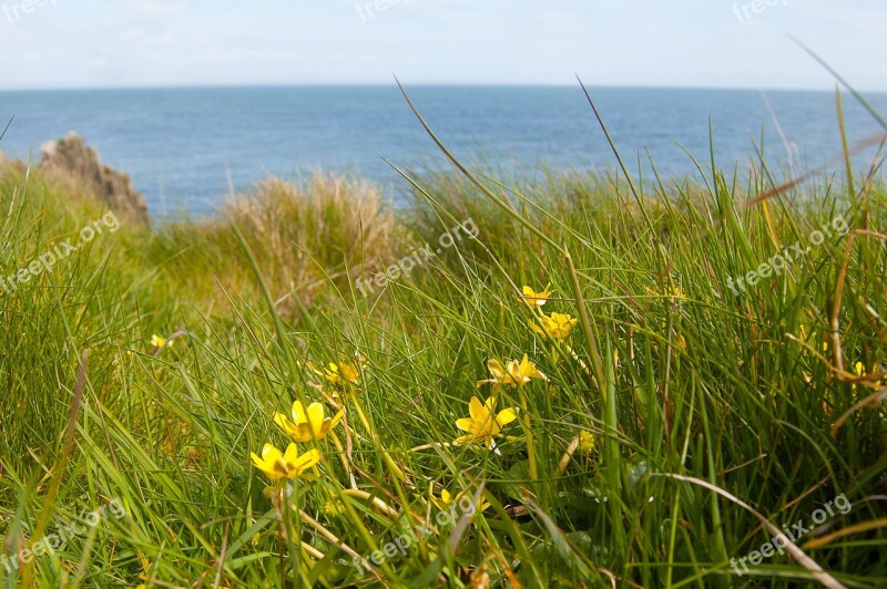 Sea Sky Dumfries And Galloway Summer Nature