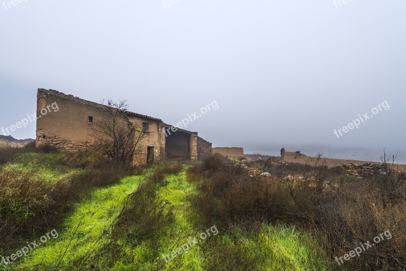 Fog Tree Landscape Trees Cloudy