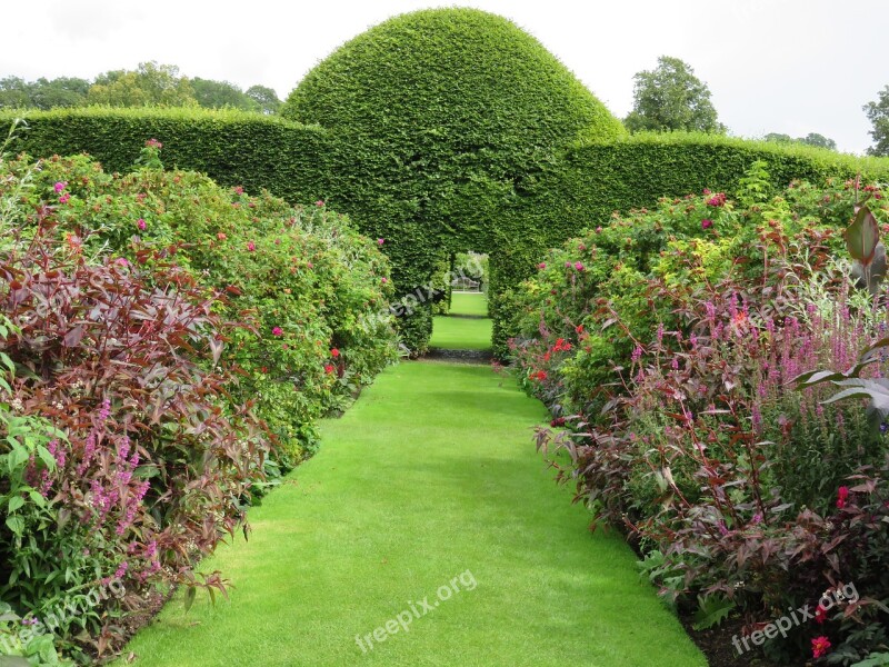 Garden Topiary Green Hedge Shape