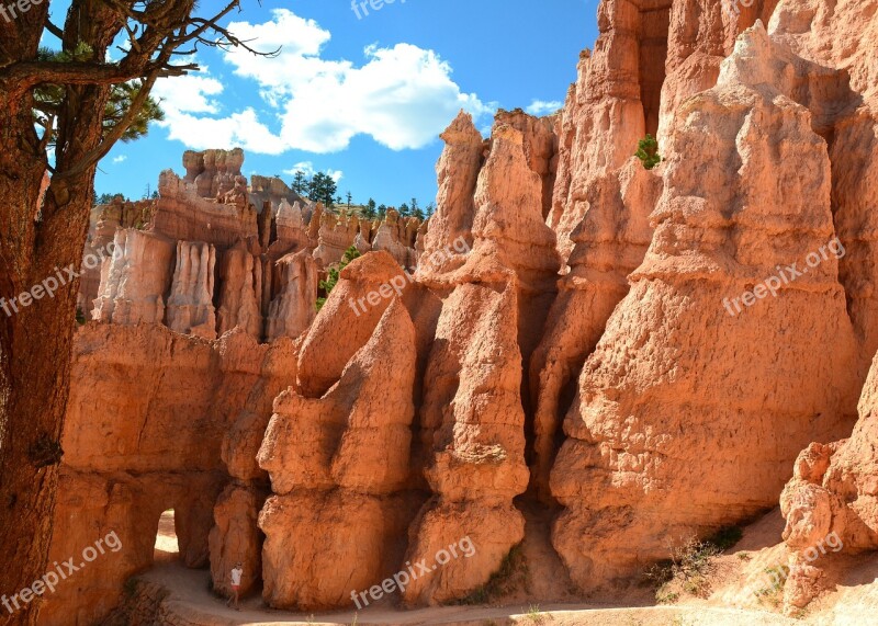 Bryce Canyon Hoodos Usa National Park America