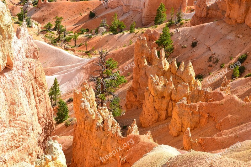 Bryce Canyon Hoodos Usa National Park America