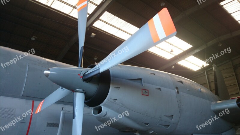 Aircraft Military Propeller Hangar Free Photos