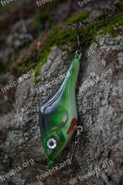 Fishing Pike Features Fishing Lures Free Photos