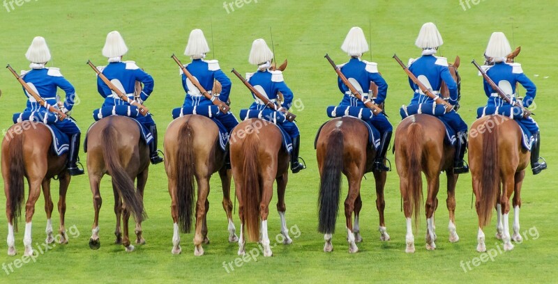 Reiter Guard Horses Solemnly Beritten