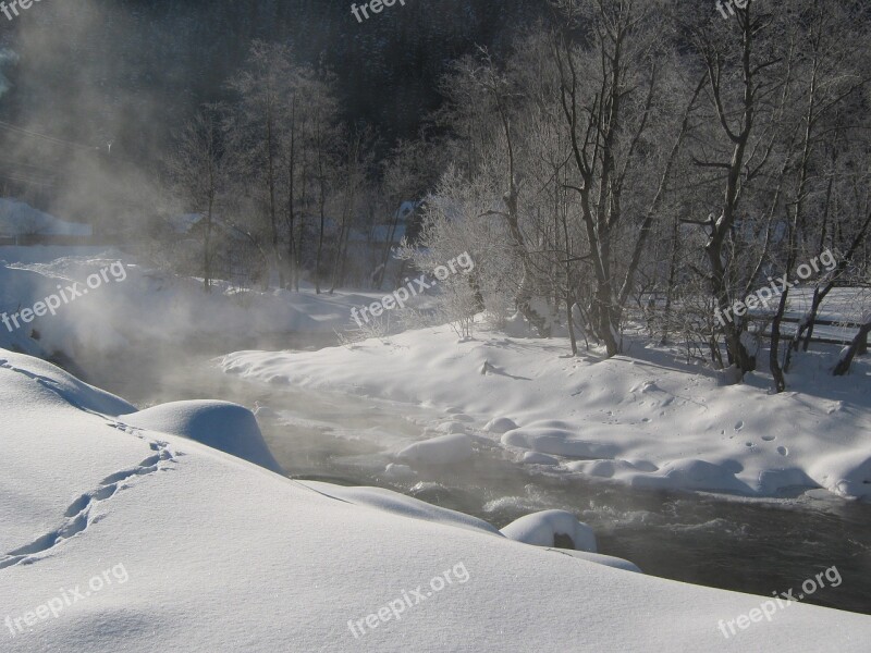 Snow Cold Frozen River Frost Frozen Trees