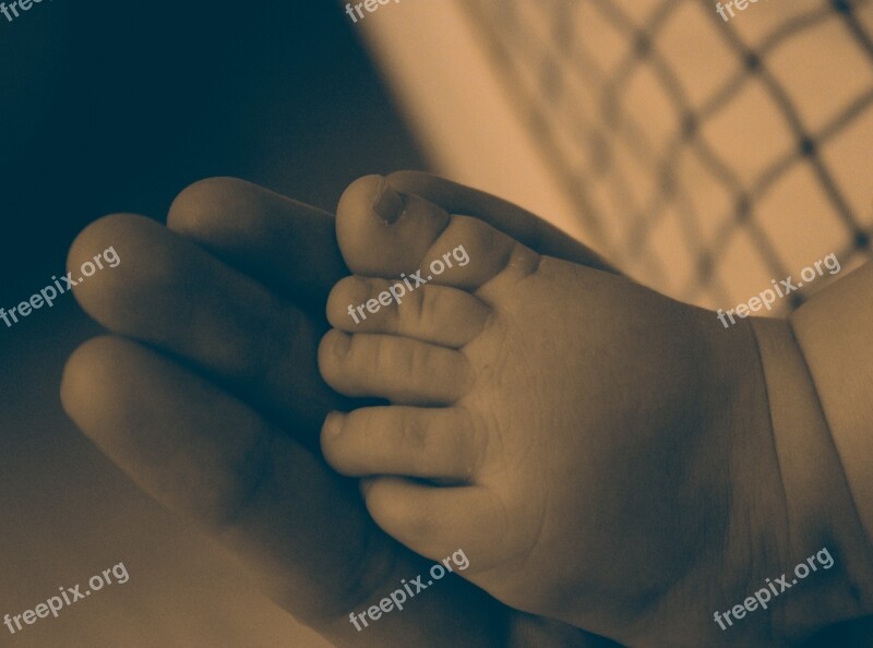 Baby Feet Newborn Child Mother