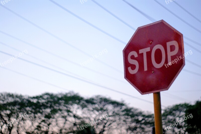 Stop Sign Lines Trees Signboard