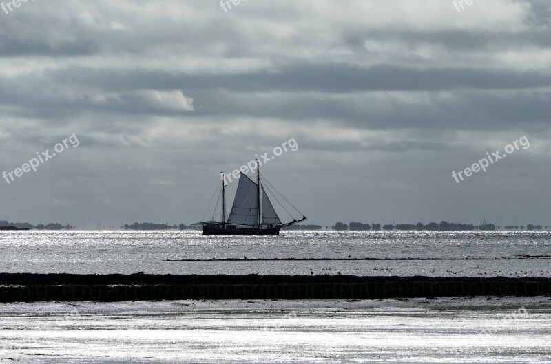 Sailing Boat Sea Boat Sail Ocean