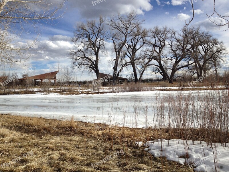 Frozen Pond Landscape Winter Ice Nature Pond