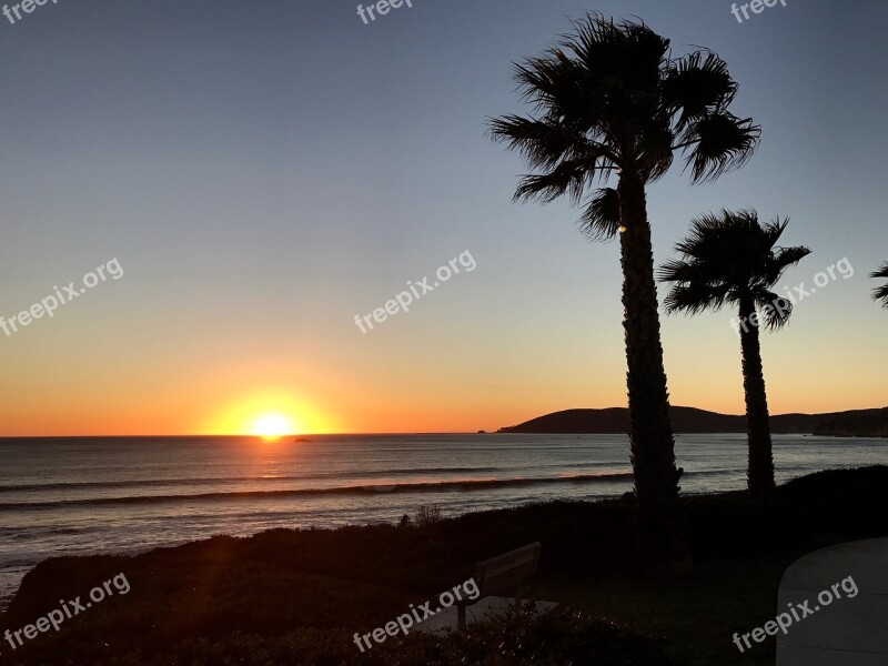 Palm Trees Sunset Ocean Palm Beach