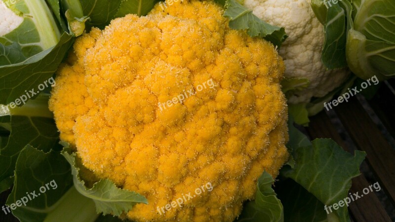 Cauliflower Yellow White Vegetables Market Free Photos