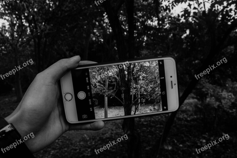 Black And White Mobile Picture-in-picture Forest Dark