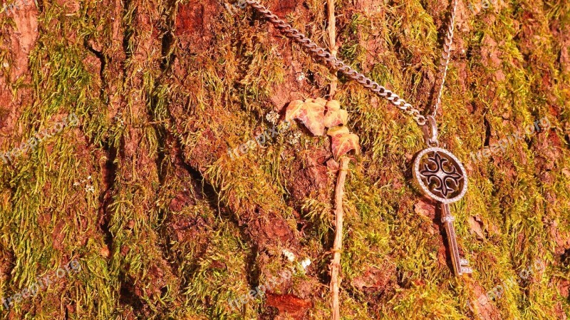 Key Wood Oak Jewellery Moss