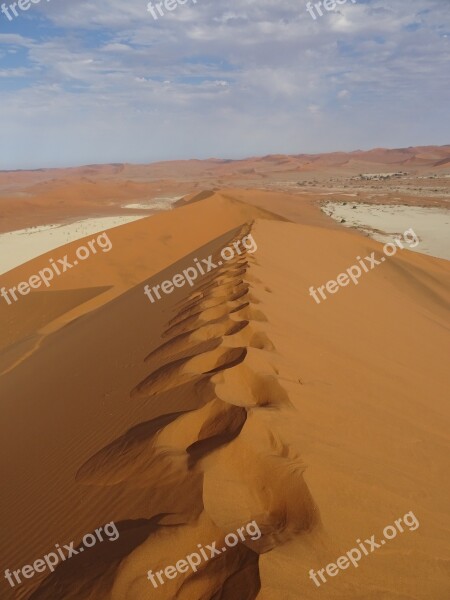 Desert Dunes Trace Golden Sand Heat