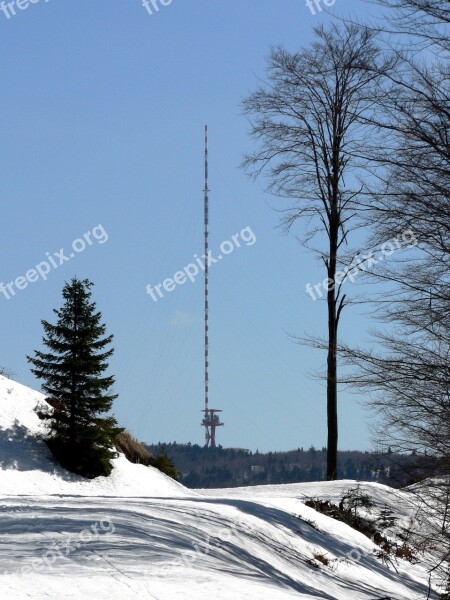 Tv Transmitter Winter Snow Trees Path