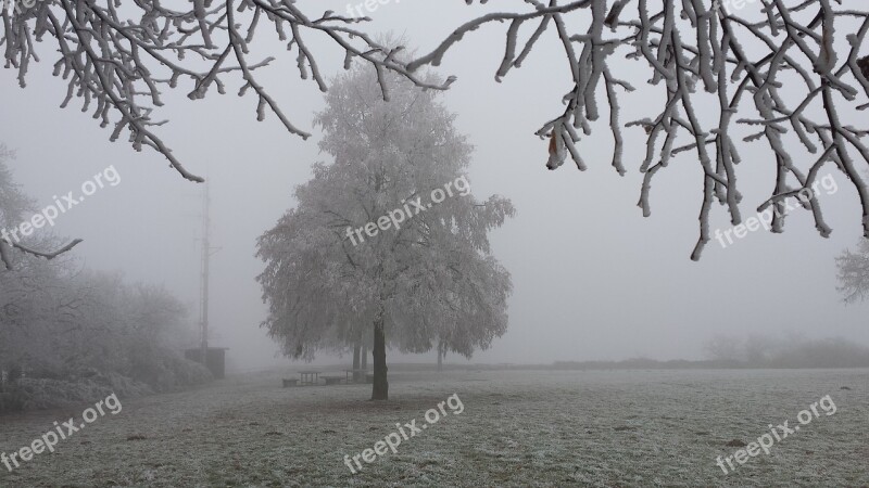 Morning Frost Ripe Wintry Winter Fog