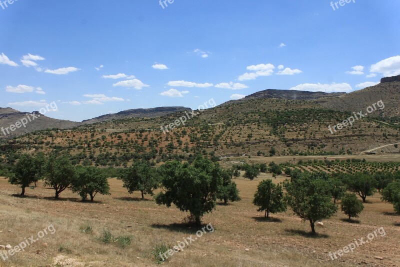 Nature Landscape Tree Cloud Turkey