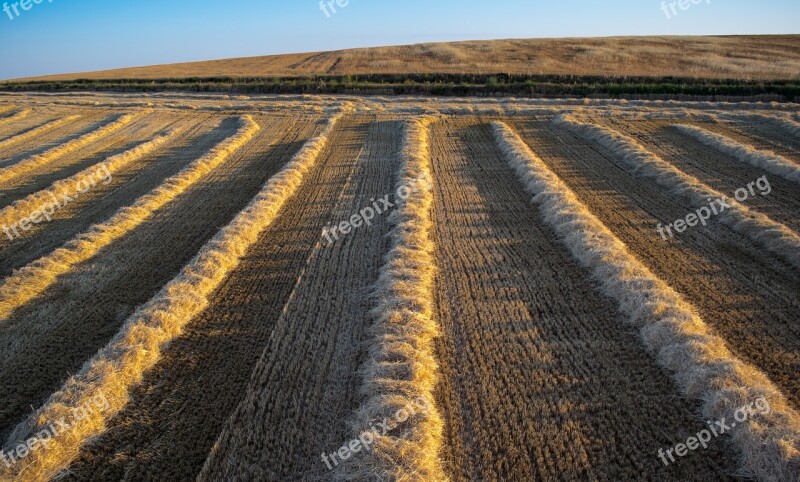 Plow Fields Grooves Agriculture Food