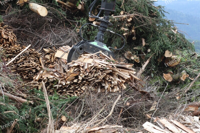 Wood Trunks Biomass Lumber Wood Chips