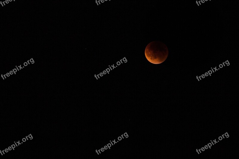 Moon Lunar Eclipse Night Sky Orange