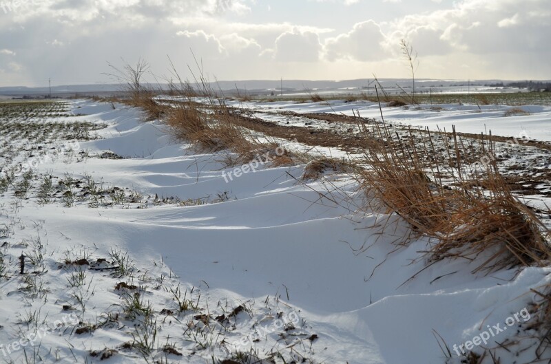 Winter Snow Grass Nature Field