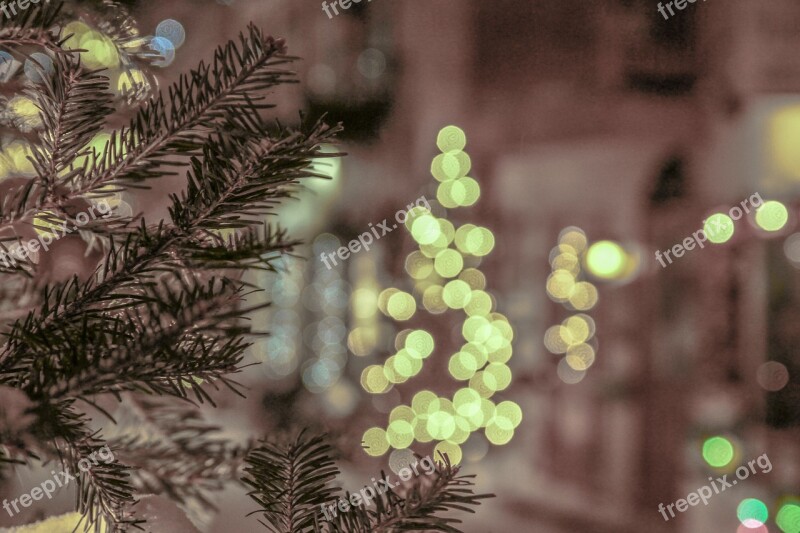 Bokeh Winter Christmas Tree Christmas Old