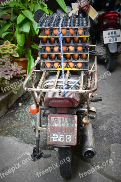 Bangkok Moped Egg Fragile Sensitive