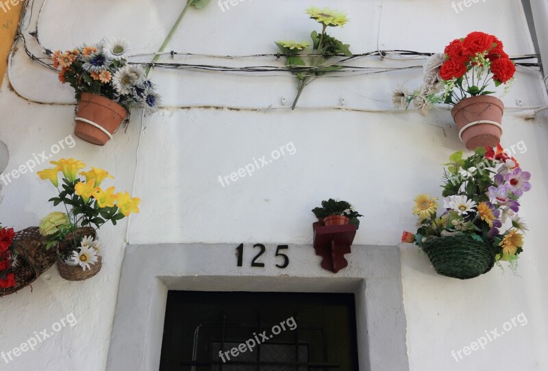 Portugal évora Street Window Flowers