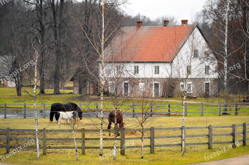 Farm Farmhouse Horses Pen Country