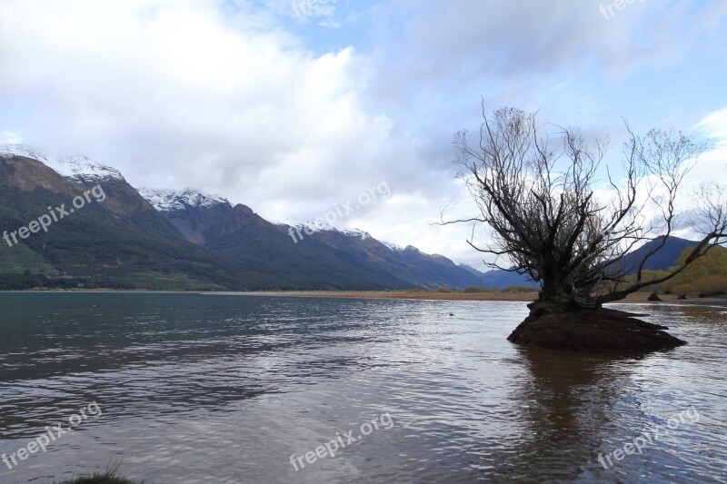 New Zealand Lake View Water The Tree Free Photos