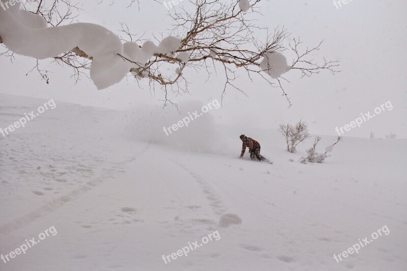 Snowboard Winter Snow Snowboarding Extreme