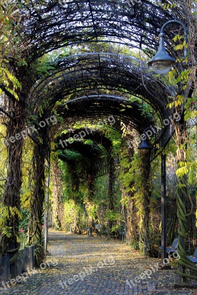 Tunnel Plant Tunnel Away Plant Promenade