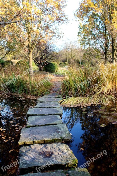 Pond Away Landscape Nature Lake