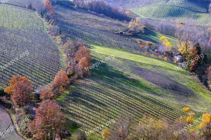 Langhirano Parma Emilia Romagna Italy Vineyards