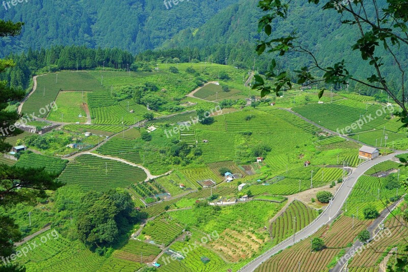 Japan Prefecture Side Green Field Gifu