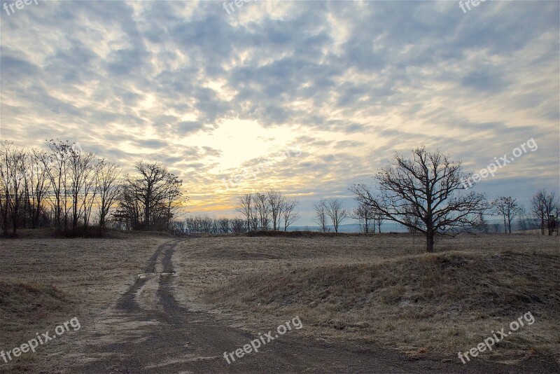 Winter Sunrise Bright Tree Frost