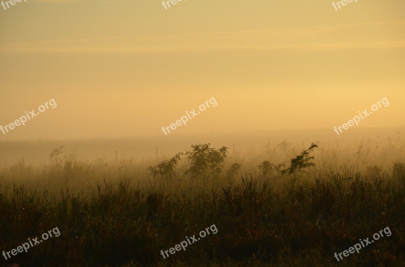 Fog Field Mist Foggy Nature