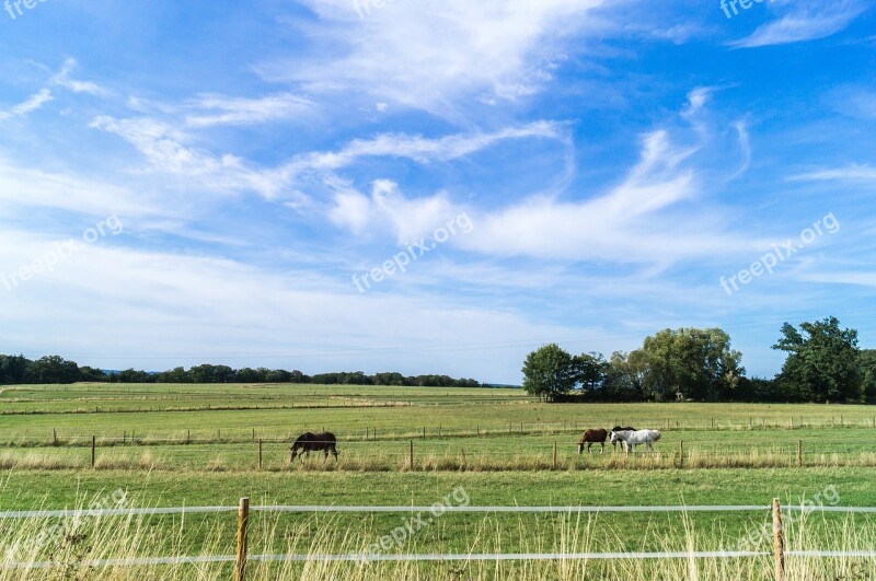 Sky Clouds Wind Nature Landscape