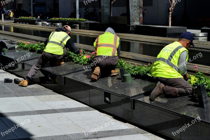 Downtown District Employee Worker Gardening Gardener