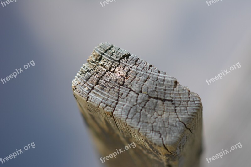 Wood Pile Close Up Wood Free Photos