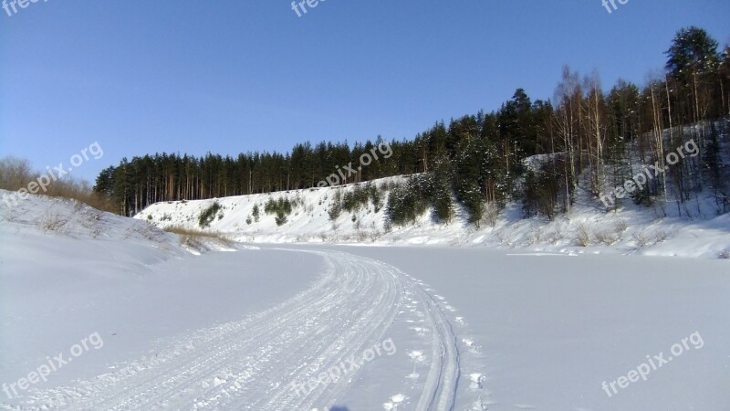 Winter Forest Trails A Healthy Lifestyle Health