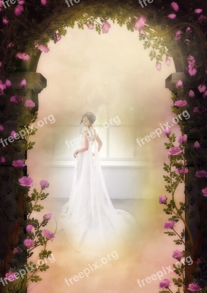 Fantasy Rose Arch Bride Dreams White