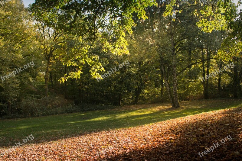 Forest Harburg Hamburg Lower Saxony Nature