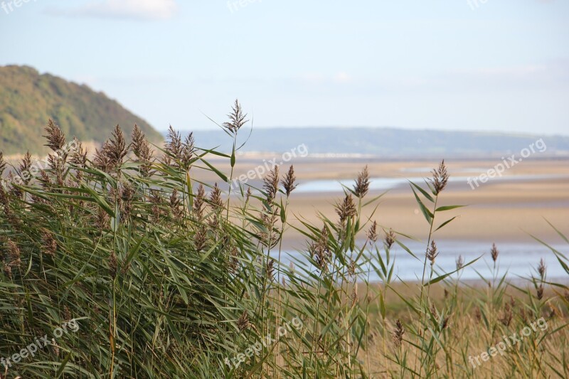 Coast Wales Sea Beach Ocean