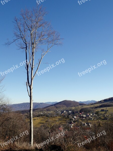 Slovakia Tree Nature Country The Sky